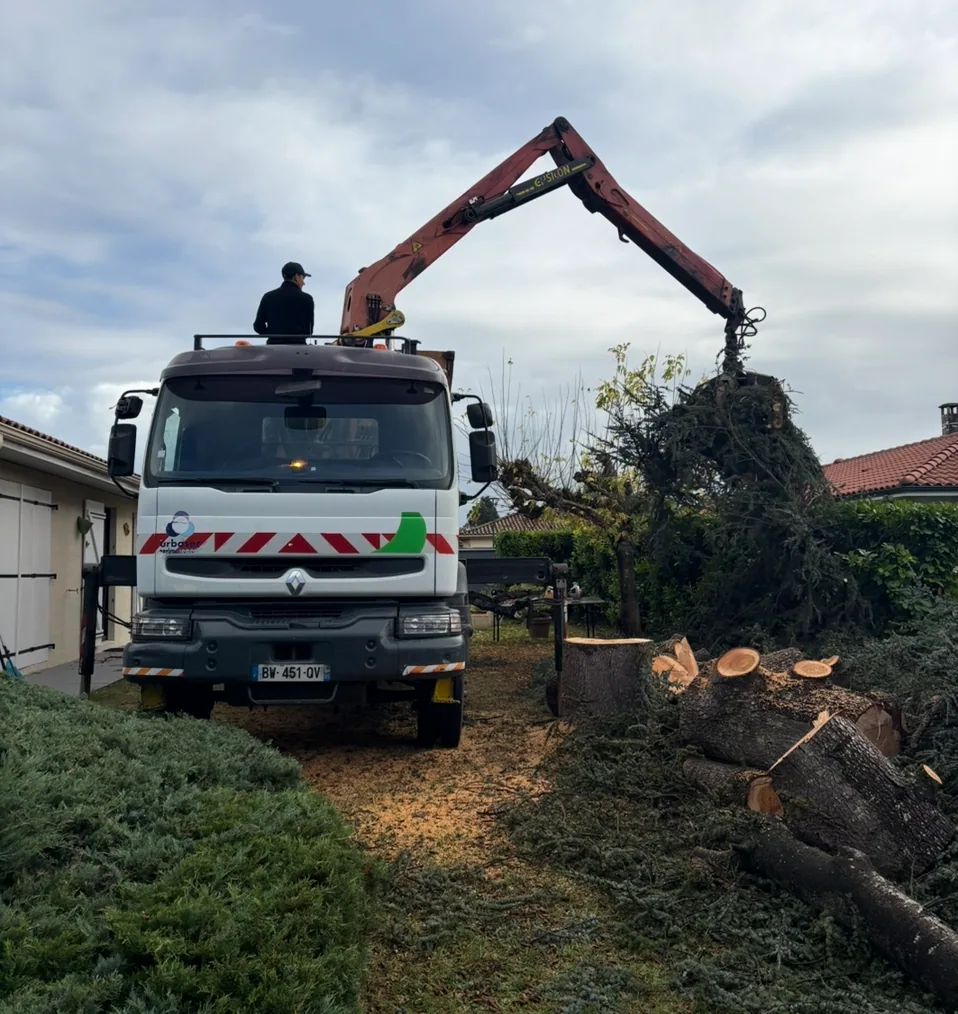 Valorisation du bois après abattage : bûches, paillage, plate-forme locale